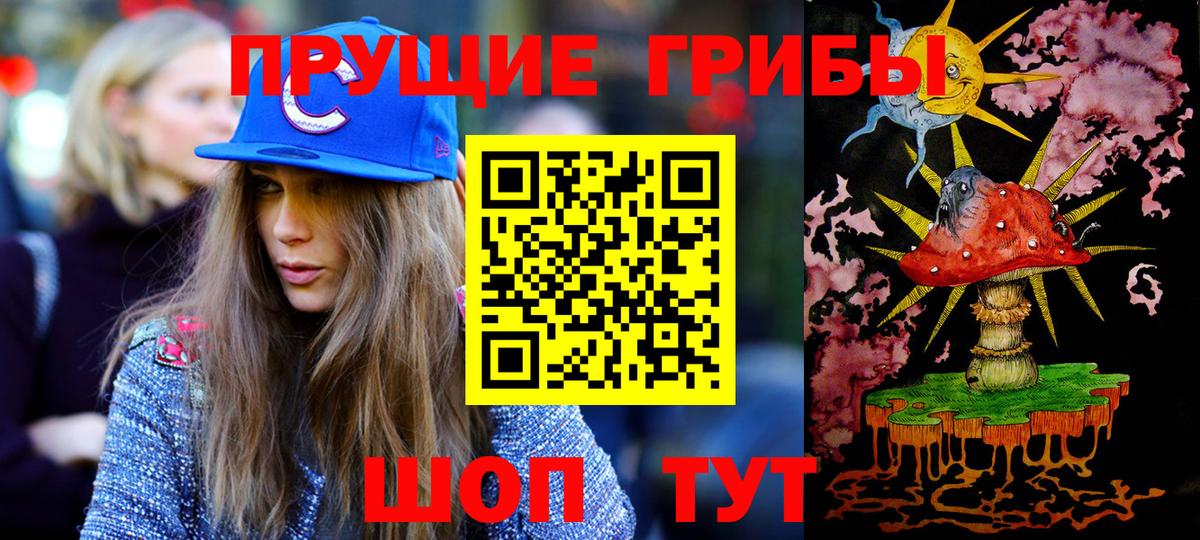Галлюциногенные грибы Psilocybe  Вход с VPN  наркота  Новочеркасск 
